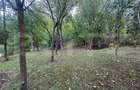 Casa de vanzare, 98 mp, teren 1.600 mp, zona Gherla