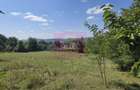 Teren intravilan de vanzare 2500 mp in Banesti - 3