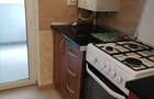 Pers. fizica apartament 1 camera dec 42 mp Bucium 300 euro - 3