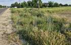 Teren 10.000 mp, potrivit investitie comercial, DN7 Gaesti - Gura Foii - 2