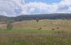 vand teren circa 20 hectare