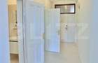 Apartament Istoric Deosebit, Regele Carol, Timisoara - 6