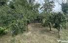 Casa traditionala+teren 1172mp intravilan in Lunca Corbul... - 3