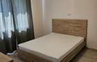 Inchiriez apartament 3 camere cu terasa si curte - 3