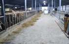 Vand ferma de animale - 3