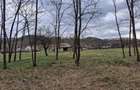 Teren de 5500 mp, în Făurești - 1