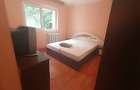 Apartament 2 camere Nicolina, ETAJ 1, investitia ideala - 6