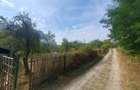 Teren intravilan  4.512 m  – Nucșoara  Argeș, 2 căi de acces, toate utilitățile.