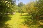 Teren intravilan 2000m2 proprietar - Prahova CORNU DE JOS centru - 6