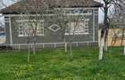 Casa/Teren de vanzare, Livada, jud. Arad - 3