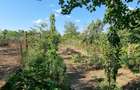 Casa de vanzare - Caracal, jud. Olt - 3
