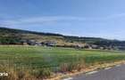 Teren 2880mp Str. Padurii | Centura DONATH | Zona de case | PLAN - 1
