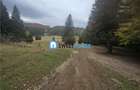 Teren intravilan Poiana Brasov