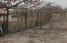 Proprietate de vanzare.Sat Draghicesti com.Sapata jud.Arges - 4