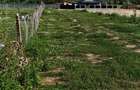 Teren 500mp vand urgent - 3