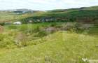 Teren intravilan de investitie, 936 mp in Borhanci - 1