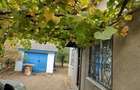 Casa 65 mp, 500 mp curte, 11,30 mp deschidere, Malu Mare