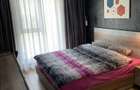 Apartament cu o camera de vanzare in zona Take Ionescu - 3