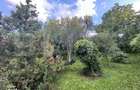 Teren de vanzare, 1300 mp, zona Baita - Gherla - 2