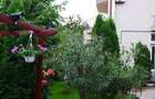 Vila 8 camere-REGIM HOTELIER - 2