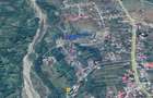 Teren intravilan 4.733 mp - Drajna de Jos, Prahova - 6