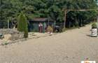 Proprietate de vanzare in apropiere de Municipiul Sebes - 1