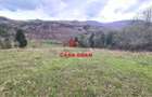 Teren extravilan Valea Doftanei 20.500 mp 6e mp - 11
