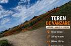 Teren intravilan 780 mp, Cartier Serbanesti, Bacau - 4