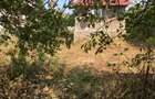 Casa de vanzare in Poienarii Rali - 4