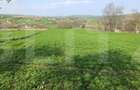 Teren intravilan, 3891 mp, la drum asfaltat, zona Bucecea - 3