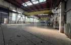 Hala industriala de inchiriat, 1.000 mp + teren 5.000 mp - 4