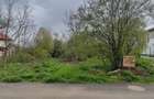 Vand teren de 1500 mp in Caciulati, comuna Moara Vlasiei, jud. Ilfov - 1
