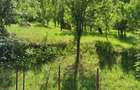 Oportunitate de investi?ie Teren 1.000 mp cu panorama deosebita in Valea Doftanei - 2