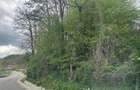 Imobil comercial/turistic S+P+2 - oportunitate investitie Muereasca ( Valcea) - 11