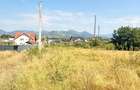 ZONA CASTEL TRANSILVANIA -str. VRANCEI -casa parter la rosu cu teren 1678mp! - 4