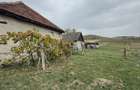 Vand casa in Pestis Judetul Bihor