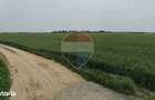 Teren intravilan de vanzare 1455 mp, Dragomiresti-Vale