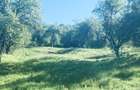Teren intravilan /Ramnicu Valcea/ str. Poenari/ 2500 mp - 5