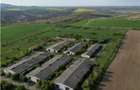 Ferma de vanzare in localitatea Bestepe - 3