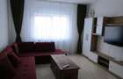 De inchiriat cu 4 camere decomandat Aradului - 3