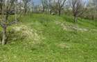 Teren extravilan in Brebu(Pietriceaua)--9104mp--50.000e - 14
