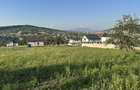 Teren de vanzare Bistrita 40 ari (4000mp) - 7