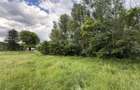 Teren plat-intravilan -3800 mp, cu pădurice și ieșire la râu! - 10