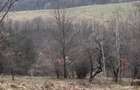 6000 MP teren intravilan, sat Bistrita, 9 Eur/MP - 2