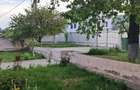 Casă cu Teren 440 Mp în 1 Mai - 3
