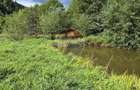 Teren de vis de 2.800 mp pe Valea Tarcaului Cu lac natural ?i padure