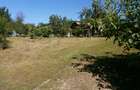 Vand casa cu anexe si gradina 2664 m2, Bascenii de Sus - 5