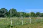 Teren extravilan de 1000 mp, situat pe strada Ghinzii