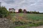COSERENI (IL) - SE VINDE TEREN 2000 MP LA SOS BUCURESTI -URZICENI - 9