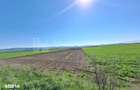 Teren extravilan, 8700 mp, pretabil agricultura sau investi?ie - Bod - 5